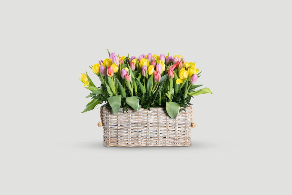 Printemps Meadow Bunch