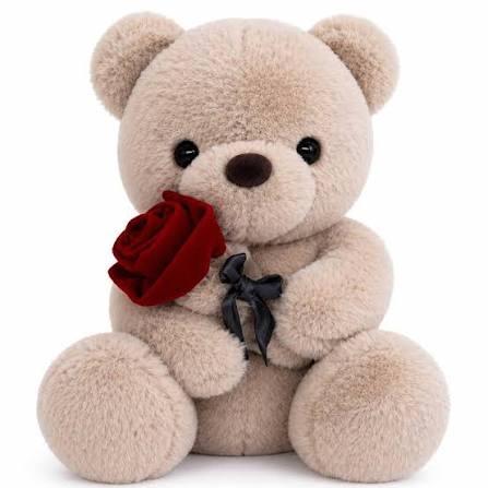 Ourson de Luxe Premium Bear